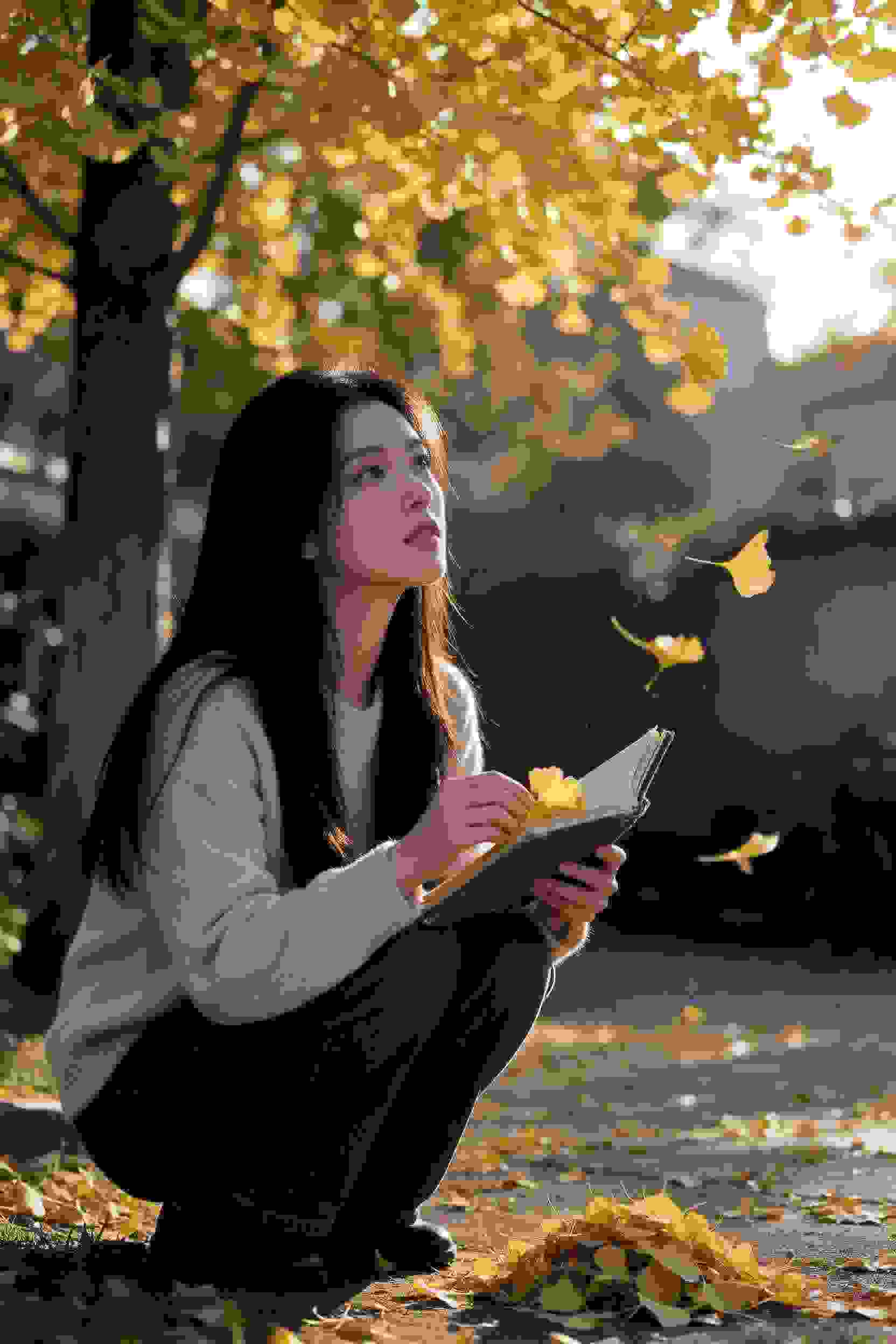 樱花盛世